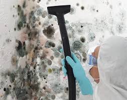 Mold Documentation for Insurance Claims